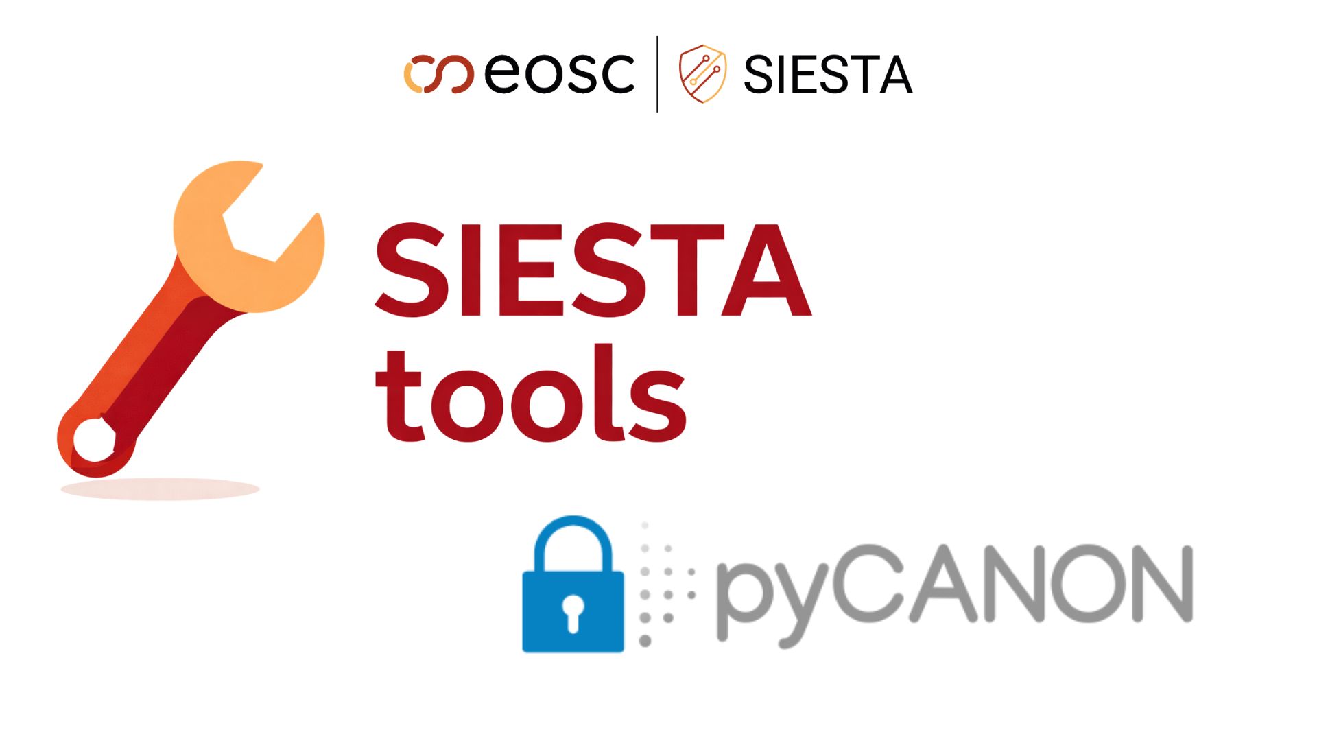 Discover pyCANON: assessing dataset anonymity in EOSC-SIESTA