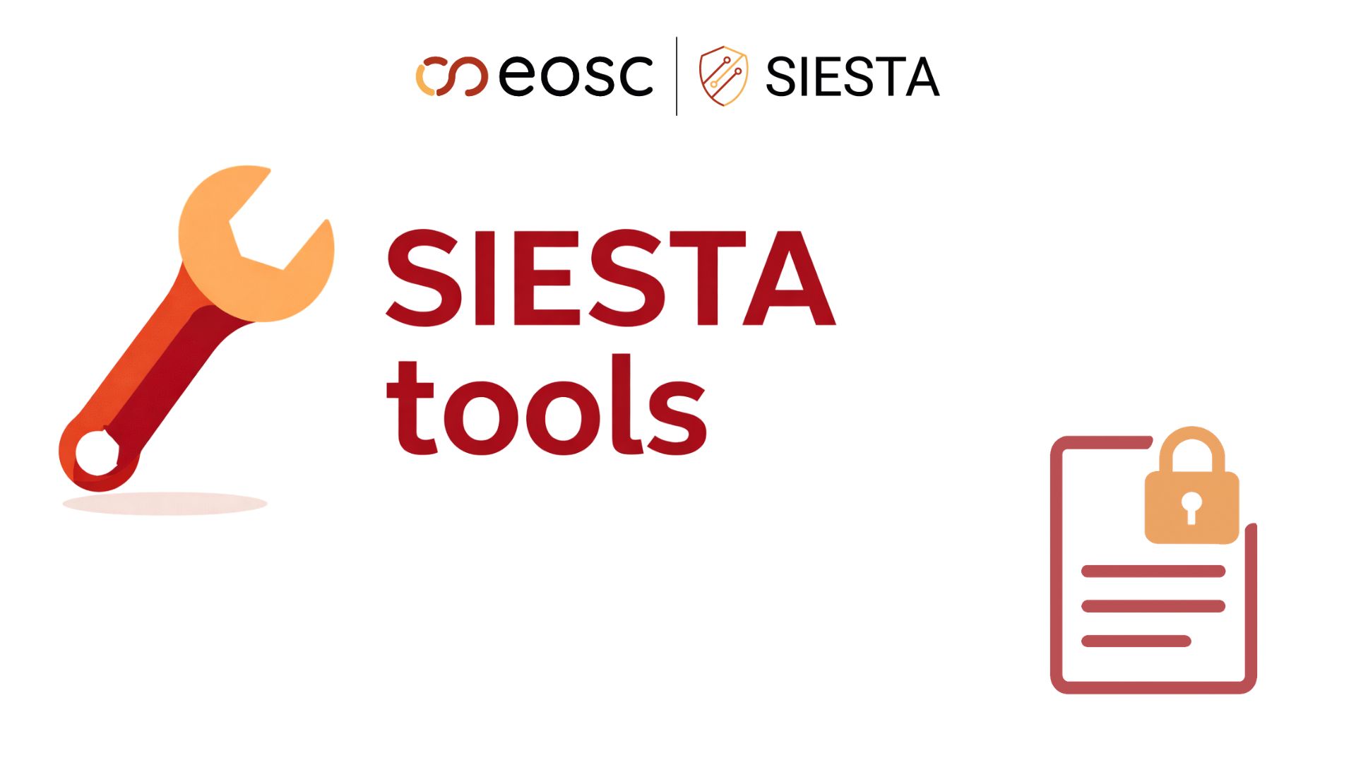 SIESTA Tool: Text Anonymization on Sensitive Data