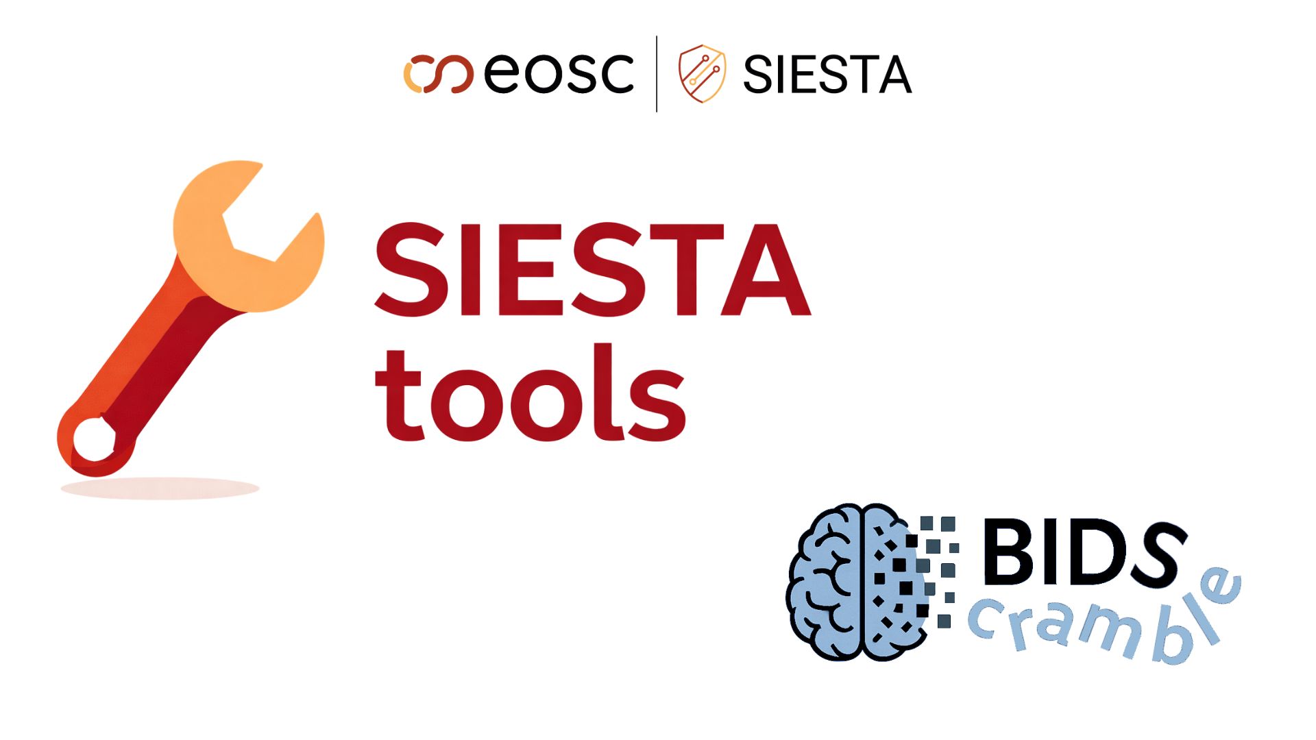 SIESTA tool: BIDScramble
