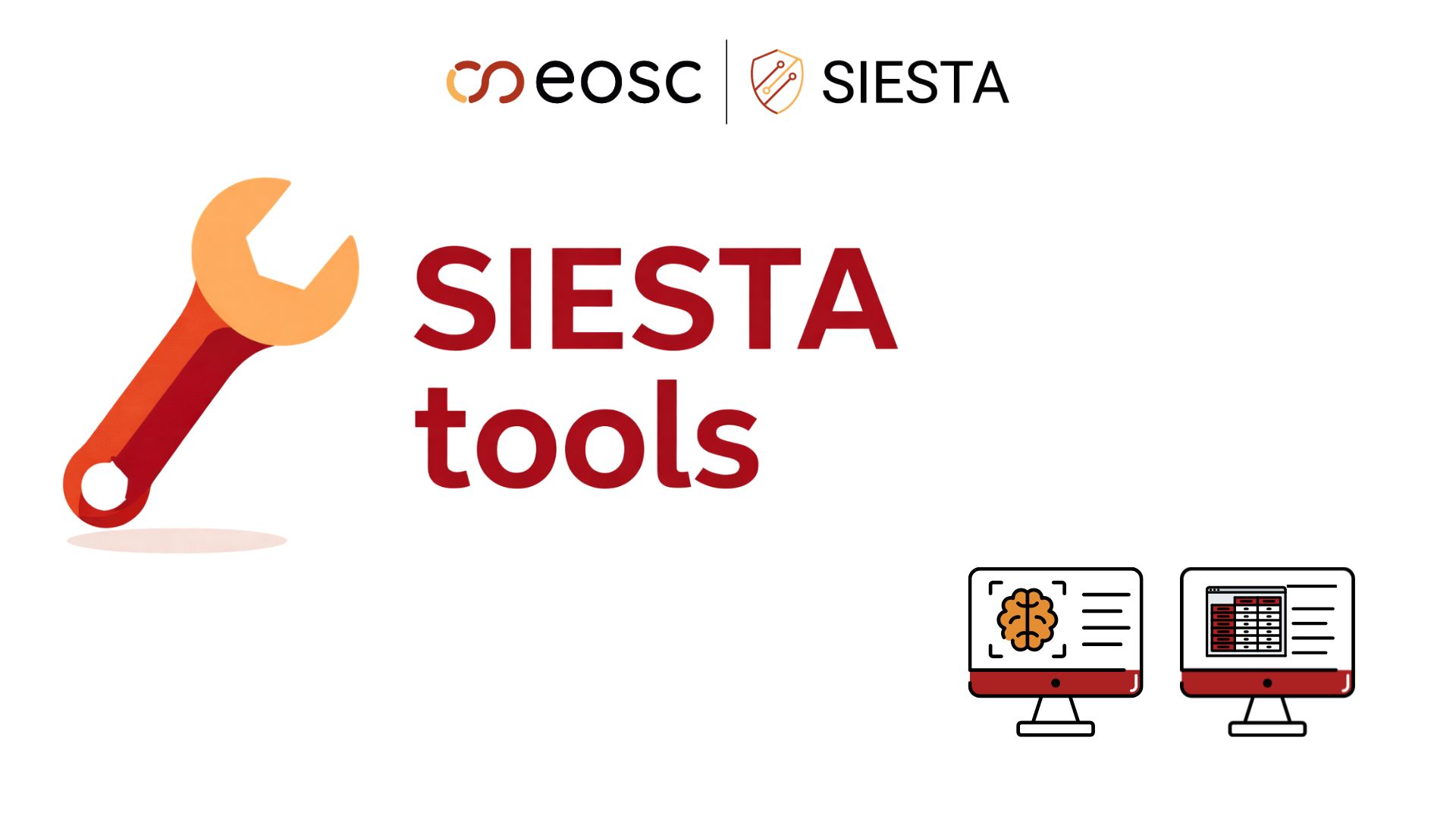 SIESTA tool: DatLeak